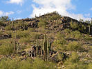 photo thumbnail #13
