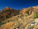 photo thumbnail #3