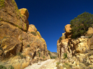 photo thumbnail #5