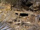 photo thumbnail #9