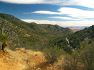 photo thumbnail #10