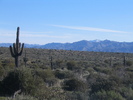 photo thumbnail #2