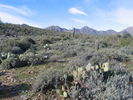photo thumbnail #3
