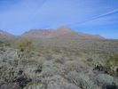 photo thumbnail #4