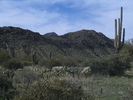 photo thumbnail #12