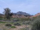 photo thumbnail #14