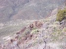 photo thumbnail #13