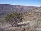photo thumbnail #15