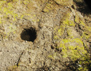 photo thumbnail #14