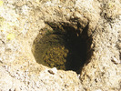 photo thumbnail #15