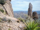 photo thumbnail #6