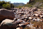 photo thumbnail #8