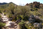 photo thumbnail #12