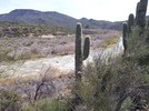 photo thumbnail #6