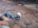 photo thumbnail #7