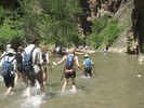 photo thumbnail #9