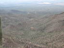 photo thumbnail #12