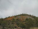 recent photo
