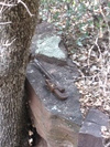 recent photo