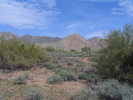 photo thumbnail #11