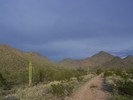 photo thumbnail #5