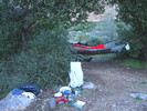 photo thumbnail #7