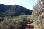 photo thumbnail #6