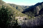 photo thumbnail #10