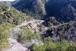 photo thumbnail #11