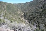 photo thumbnail #12