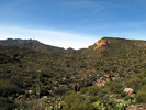 photo thumbnail #5