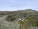 photo thumbnail #7