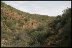 photo thumbnail #8