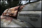 photo thumbnail #11
