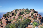 photo thumbnail #5