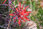 photo thumbnail #12