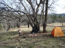 photo thumbnail #8
