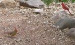 photo thumbnail #10
