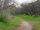 photo thumbnail #13