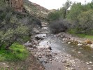 photo thumbnail #15