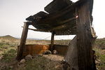photo thumbnail #4