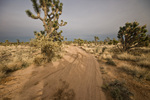 photo thumbnail #12