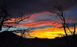 photo thumbnail #4