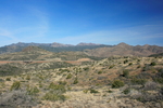 photo thumbnail #1