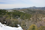 photo thumbnail #3