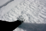 photo thumbnail #13