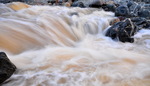 photo thumbnail #10