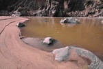 photo thumbnail #14