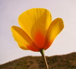 photo thumbnail #15