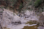 photo thumbnail #8